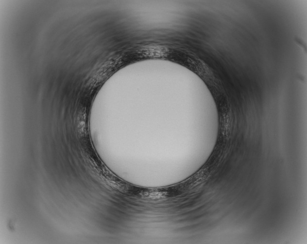 X0000099440553200806061046