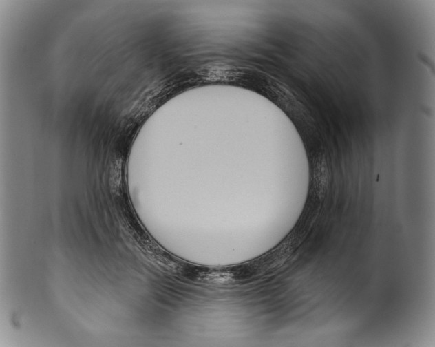 X0000099440554200806061046