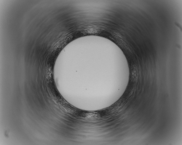 X0000099440555200806061046