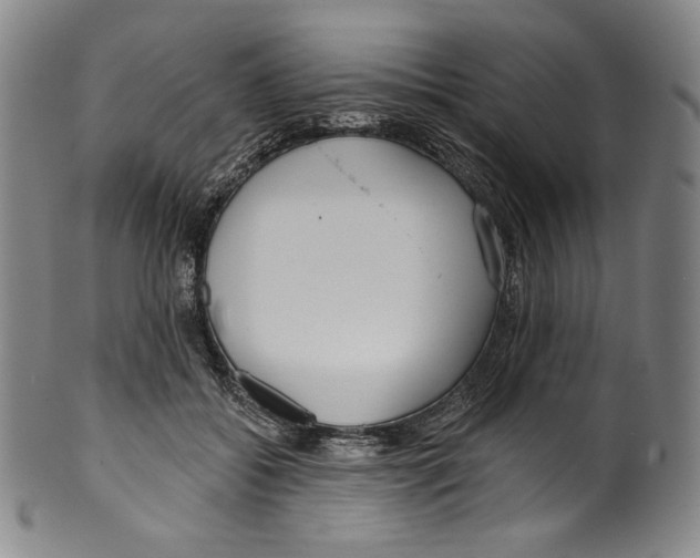 X0000099440556200806061046