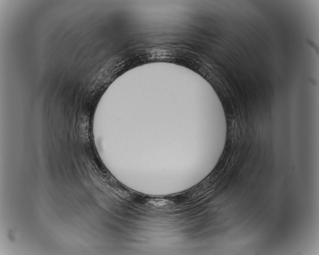 X0000099440557200806061046