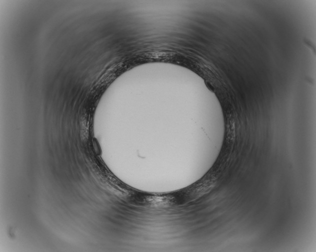 X0000099440558200806061046