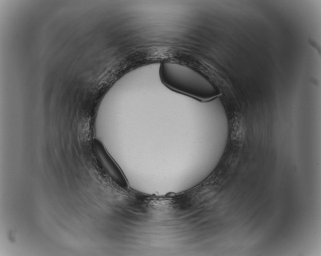 X0000099440560200806061046