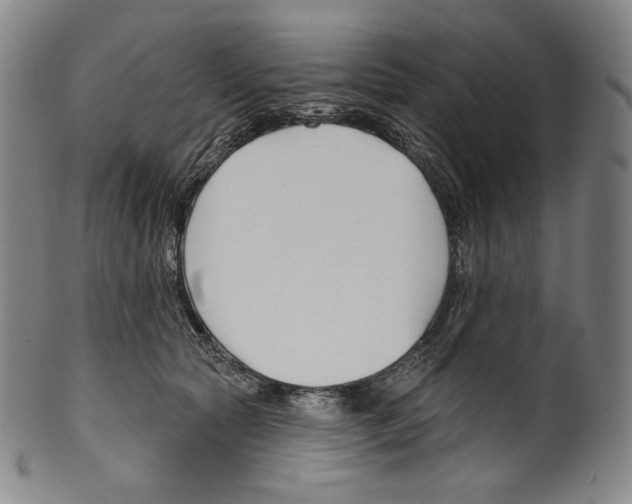 X0000099440561200806061046