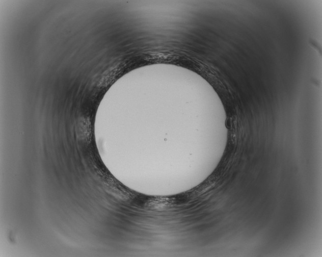 X0000099440563200806061046