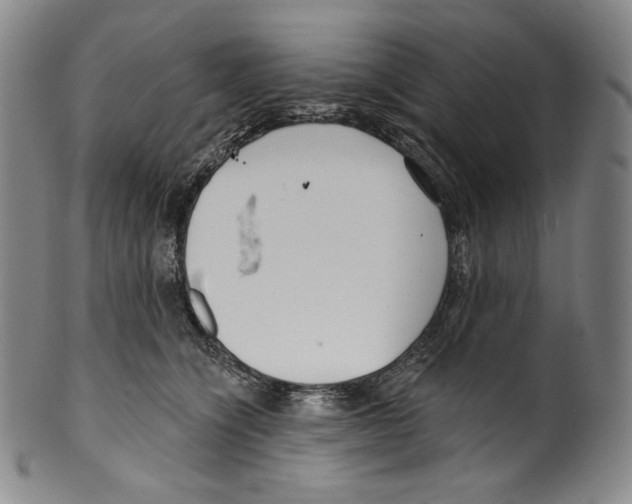 X0000099440564200806061046