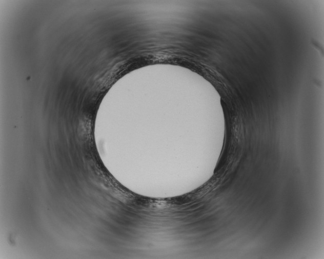 X0000099440565200806061046