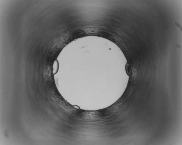 X0000099440567200806061046