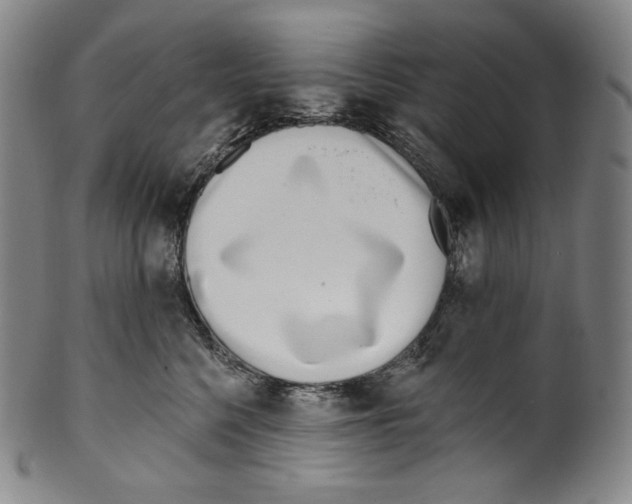 X0000099440568200806061046