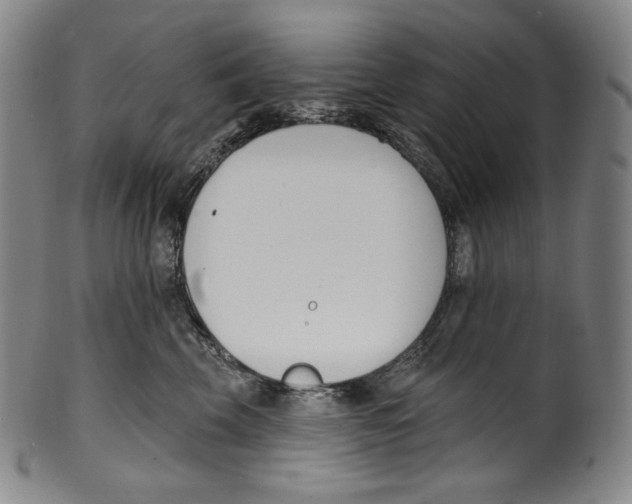 X0000099440569200806061046