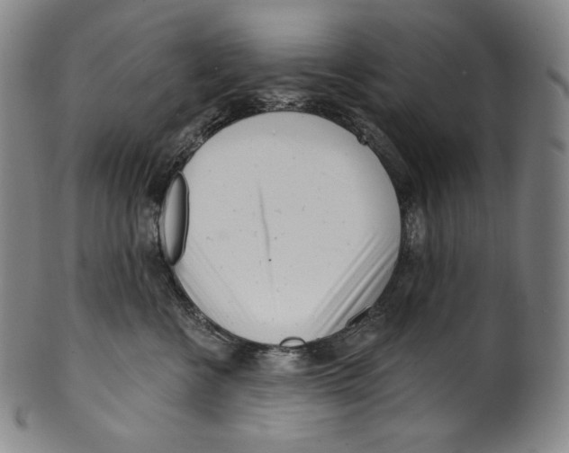 X0000099440570200806061046