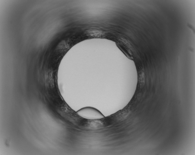 X0000099440572200806061046