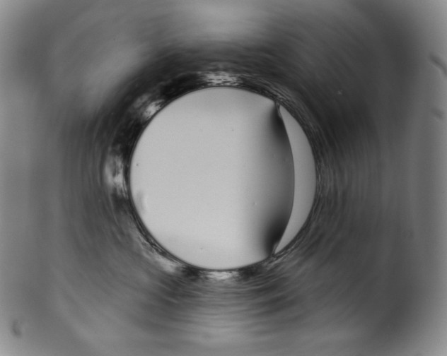 X0000099440573200806061046