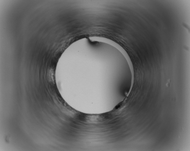 X0000099440575200806061046