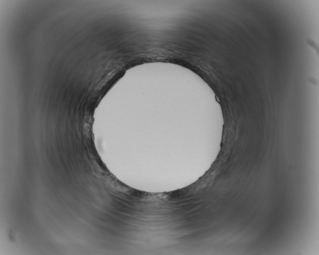 X0000099440576200806061046