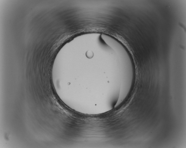 X0000099440577200806061046