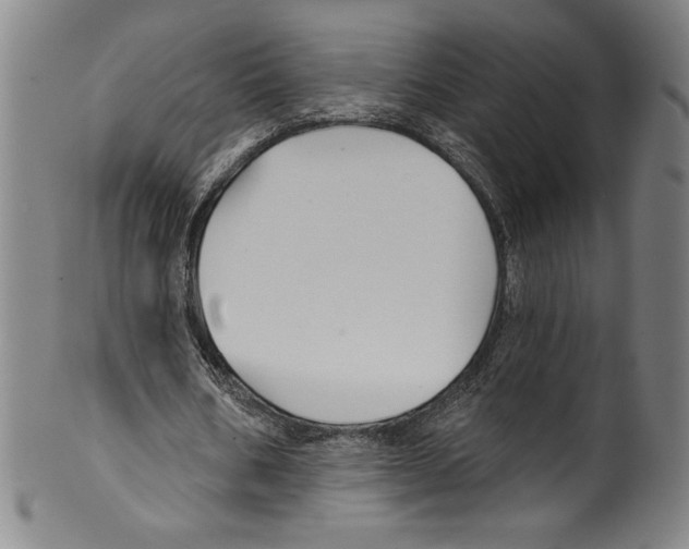 X0000099440578200806061046