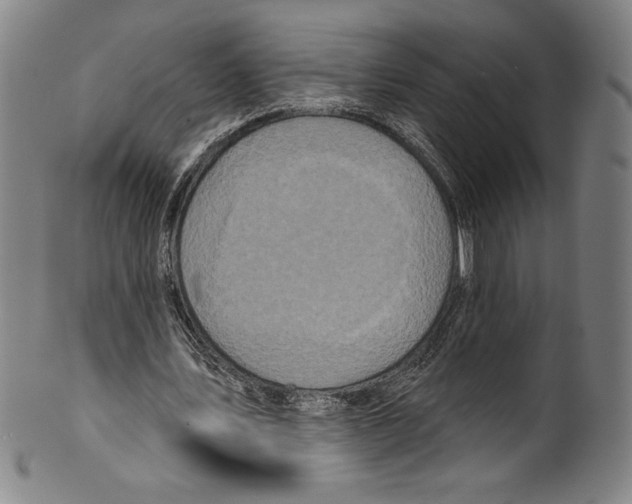 X0000099440579200806061046