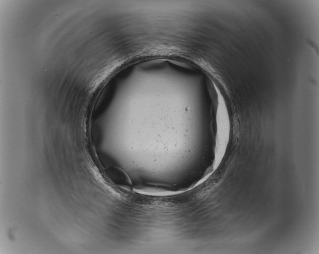 X0000099440581200806061046