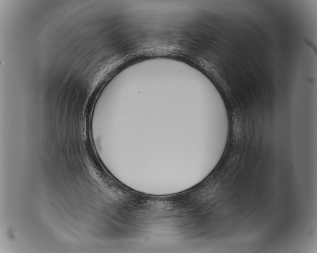 X0000099440582200806061046