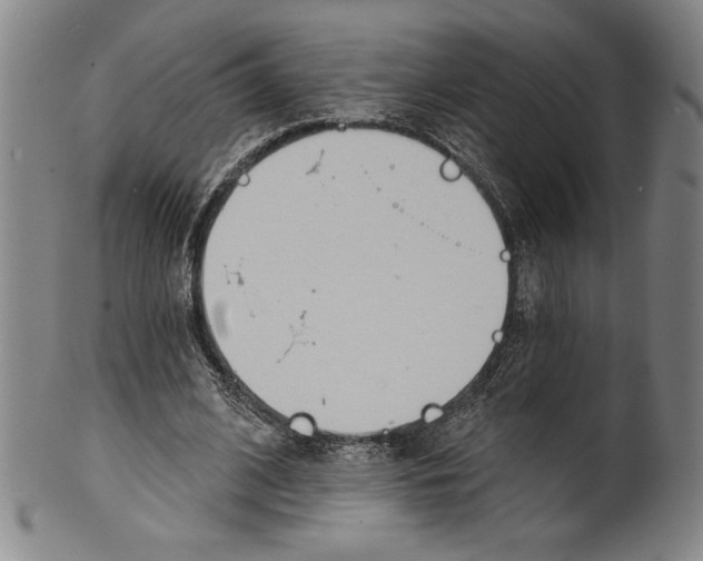 X0000099440584200806061046