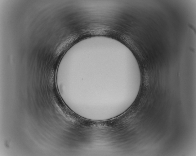 X0000099440586200806061046