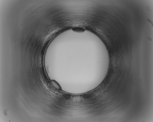 X0000099440587200806061046