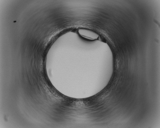 X0000099440588200806061046