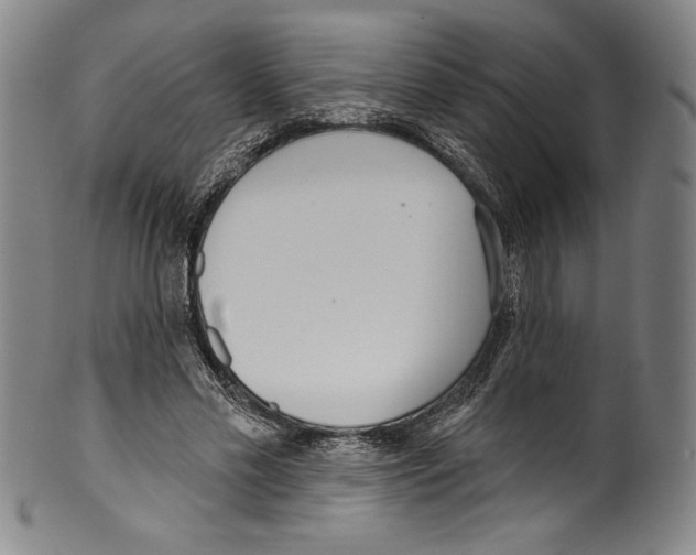 X0000099440589200806061046