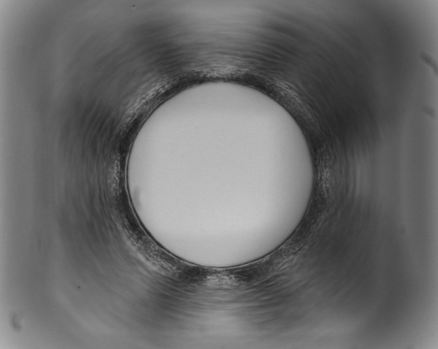 X0000099440591200806061045