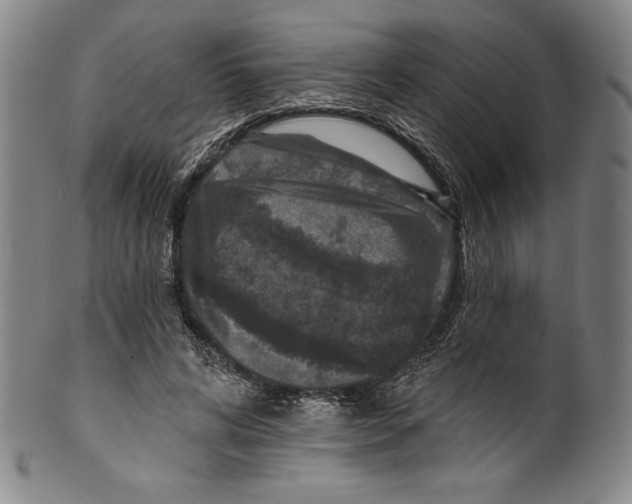 X0000099440592200806061045