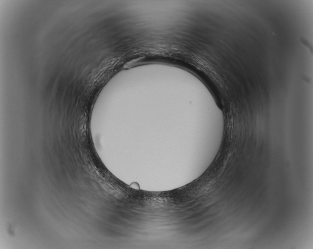 X0000099440593200806061045