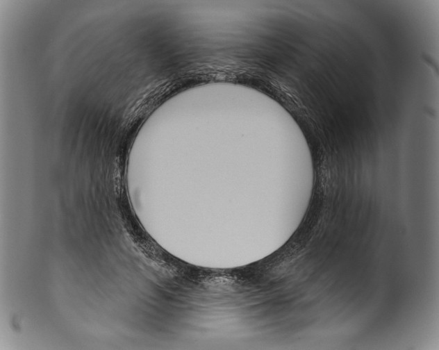 X0000099440594200806061045