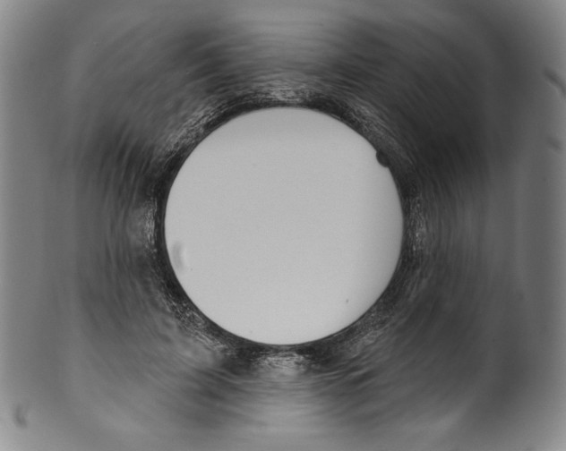 X0000099440595200806061045