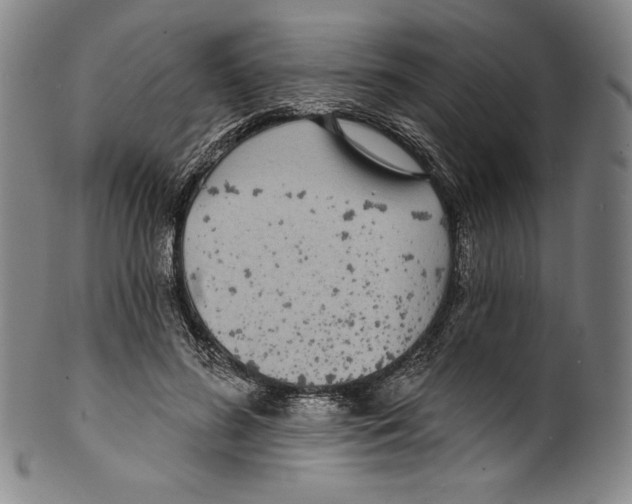 X0000099440596200806061045