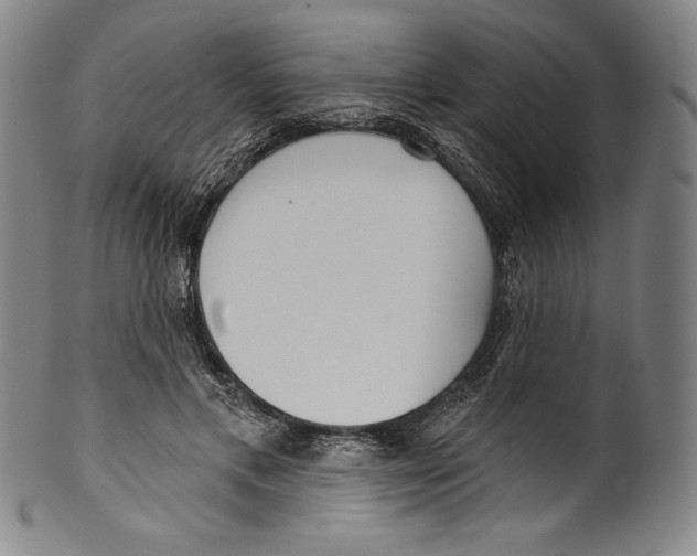 X0000099440597200806061045