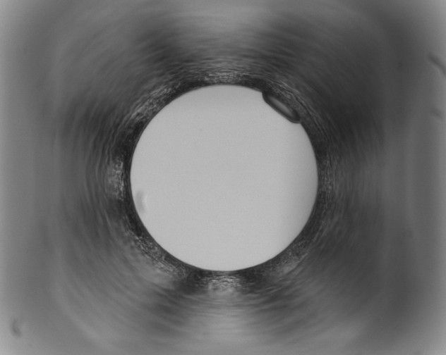 X0000099440599200806061045