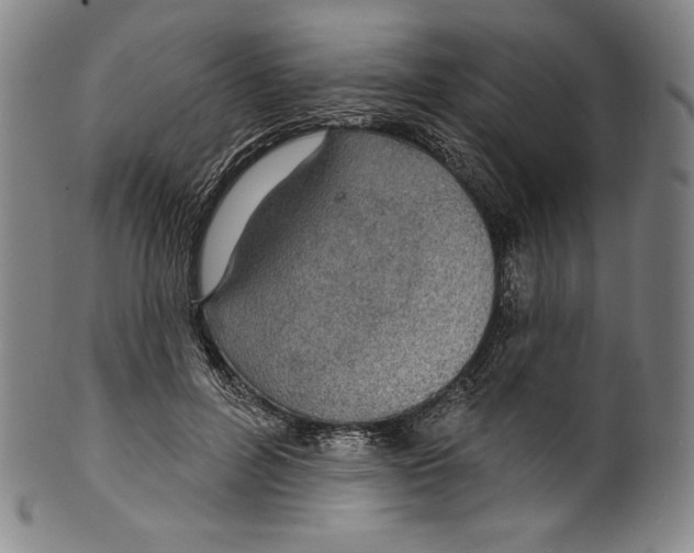 X0000099440600200806061045