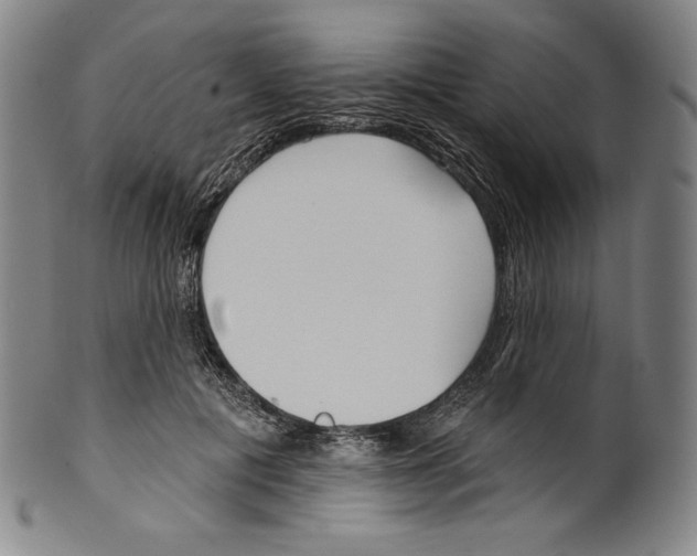 X0000099440601200806061045