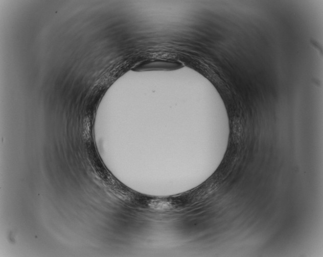 X0000099440602200806061045