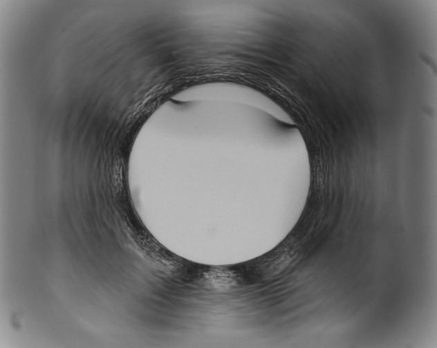 X0000099440603200806061045