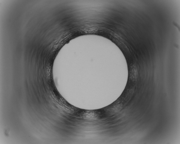 X0000099440604200806061045