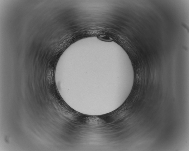 X0000099440605200806061045