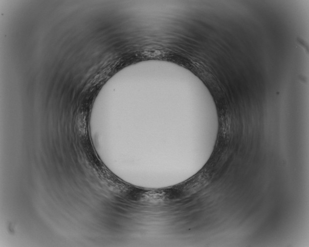 X0000099440606200806061045