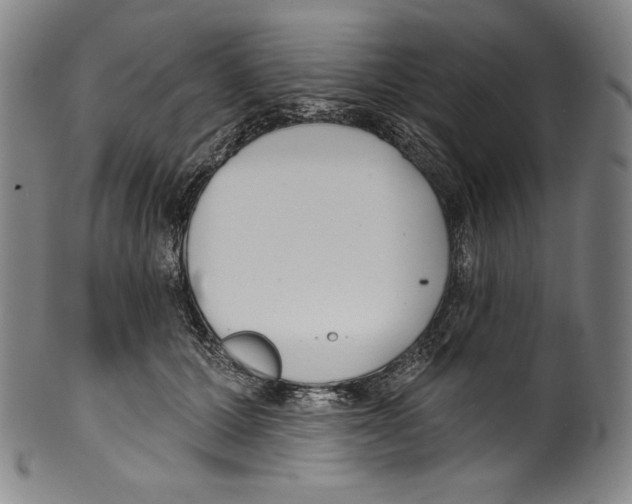 X0000099440607200806061045