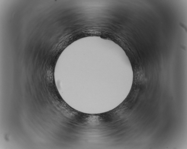 X0000099440609200806061045