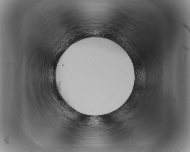 X0000099440612200806061045