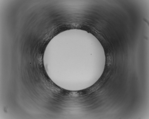 X0000099440613200806061045