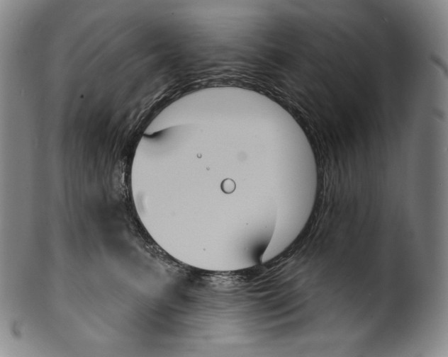 X0000099440615200806061045