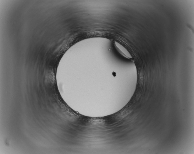 X0000099440617200806061045